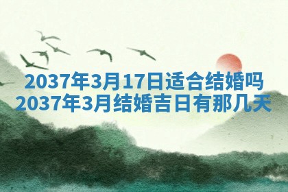 今日万年历2025年6月23日动土吉日,动土好日子查询