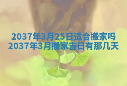 谭姓2026年02月27日出生的男孩子命理分析与起名攻略