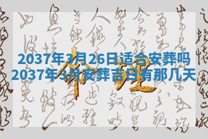 今日万年历2025年6月23日动土吉日,动土好日子查询