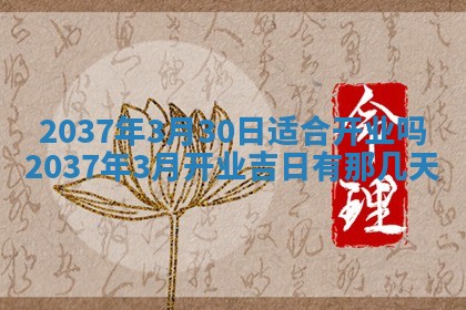 八字五行与武姓：2026年03月02日出生男宝宝的理想名字分析