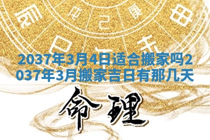2025年12月16日财神朝向查询