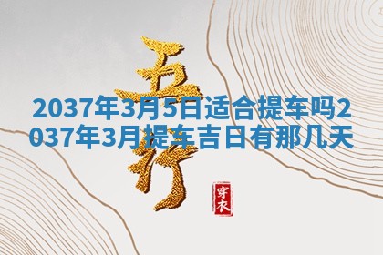 2025年12月11日打麻将朝向查询