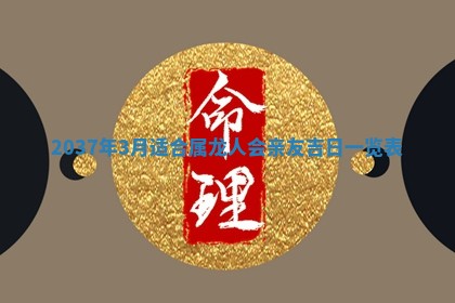 2025年12月15日打麻将打麻将在哪个吉位