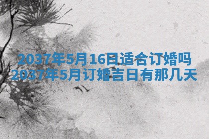 谭姓2026年02月27日出生的男孩子命理分析与起名攻略