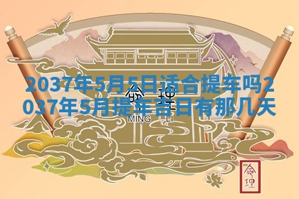 2025年12月11日打麻将朝向查询