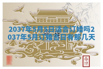 2025年12月13日打麻将财神吉位查询