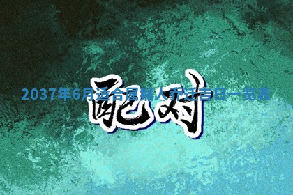 2025年12月15日打麻将打麻将在哪个吉位