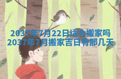 今日万年历2025年6月23日动土吉日,动土好日子查询