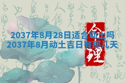 八字五行与武姓：2026年03月02日出生男宝宝的理想名字分析