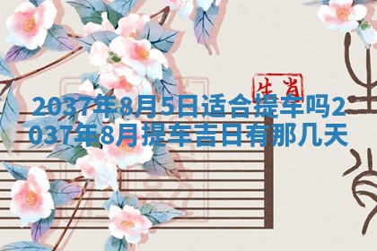 谭姓2026年02月27日出生的男孩子命理分析与起名攻略