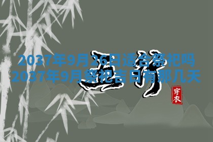2025年12月13日打麻将财神吉位查询