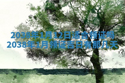 2025年6月8日老黄历适合家装吗