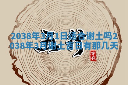 2025年12月21日打麻将在哪个方向详解