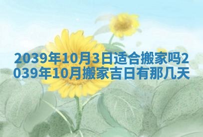 2025年12月24日打麻将各时辰财神吉位查询