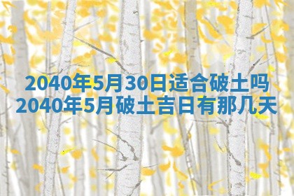 石姓女孩子起名技巧：2026年03月01日生辰八字取名指南