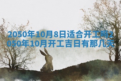 2026年02月18日杜姓女宝宝起名必读：八字喜忌用字详解