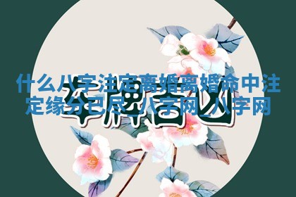 2026年02月28日出生毛姓男宝宝八字五行取名禁忌与建议