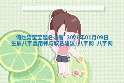 何姓男孩子取名