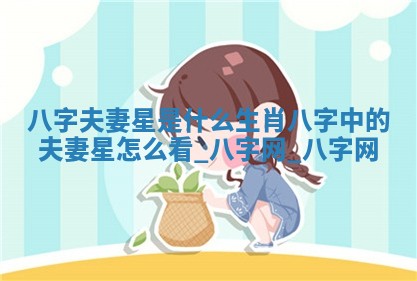 万年历2025年6月3日房屋装修推荐分析