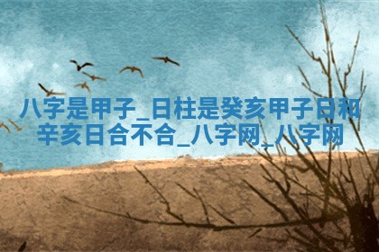 2026年02月28日出生毛姓男宝宝八字五行取名禁忌与建议