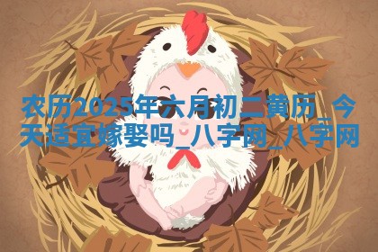 农历2025年六月初二黄历：今天适宜嫁娶吗