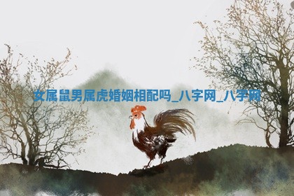 2026年02月28日出生毛姓男宝宝八字五行取名禁忌与建议