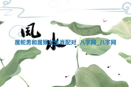 2026年02月25日农历二〇二六年正月初九出生的梁姓女宝宝取名全攻略