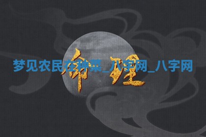 2026年02月25日农历二〇二六年正月初九出生的梁姓女宝宝取名全攻略