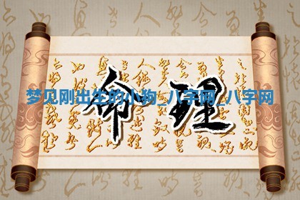 郑姓男宝宝名字精选：2026年03月10日生辰八字起名技巧
