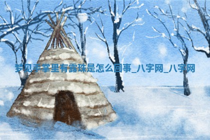 万年历2025年6月3日房屋装修推荐分析