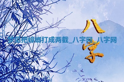 2026年02月25日农历二〇二六年正月初九出生的梁姓女宝宝取名全攻略