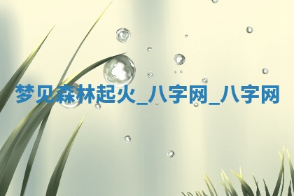 2025年10月28日打麻将在哪个吉位打麻将攻略