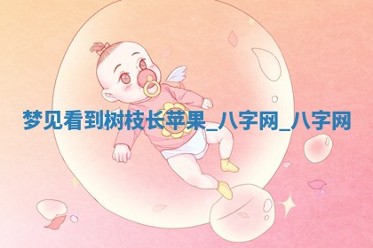 2026年02月28日出生毛姓男宝宝八字五行取名禁忌与建议