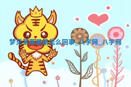 2026年02月28日出生毛姓男宝宝八字五行取名禁忌与建议