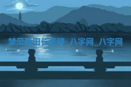 2026年02月28日出生毛姓男宝宝八字五行取名禁忌与建议