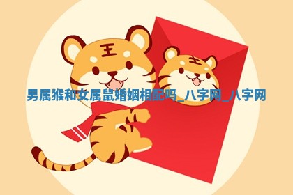 2026年02月28日出生毛姓男宝宝八字五行取名禁忌与建议