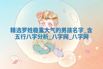 罗姓稳重大气的男孩名字