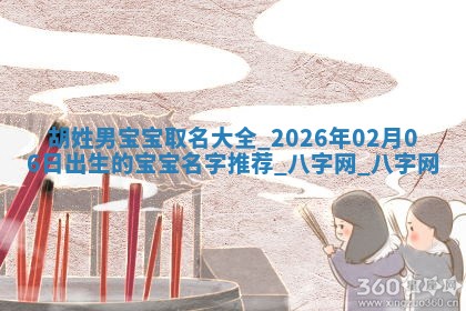 胡姓男孩子取名