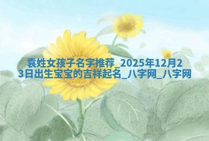 袁姓女孩子取名