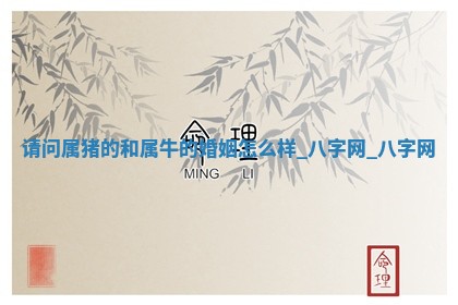 郑姓男宝宝名字精选：2026年03月10日生辰八字起名技巧