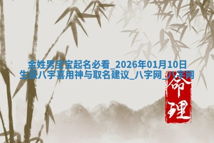 金姓男孩子取名