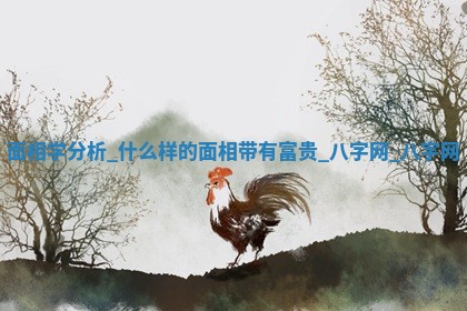 2026年02月28日出生毛姓男宝宝八字五行取名禁忌与建议