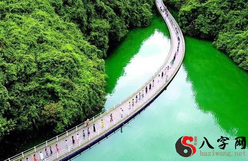 梦见从桥上掉下来