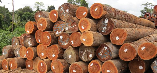 中国市场对热带木材持续热捧能否再掀二季度进口热潮？(图2)