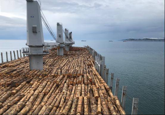 【行业】全球木材行业遭受运输冲击 中国木材市场压力与潜力并存(图1)